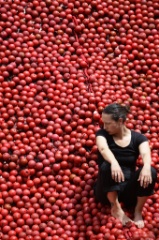 An Apple a day 23 * 5616 x 3744 * (9.81MB)